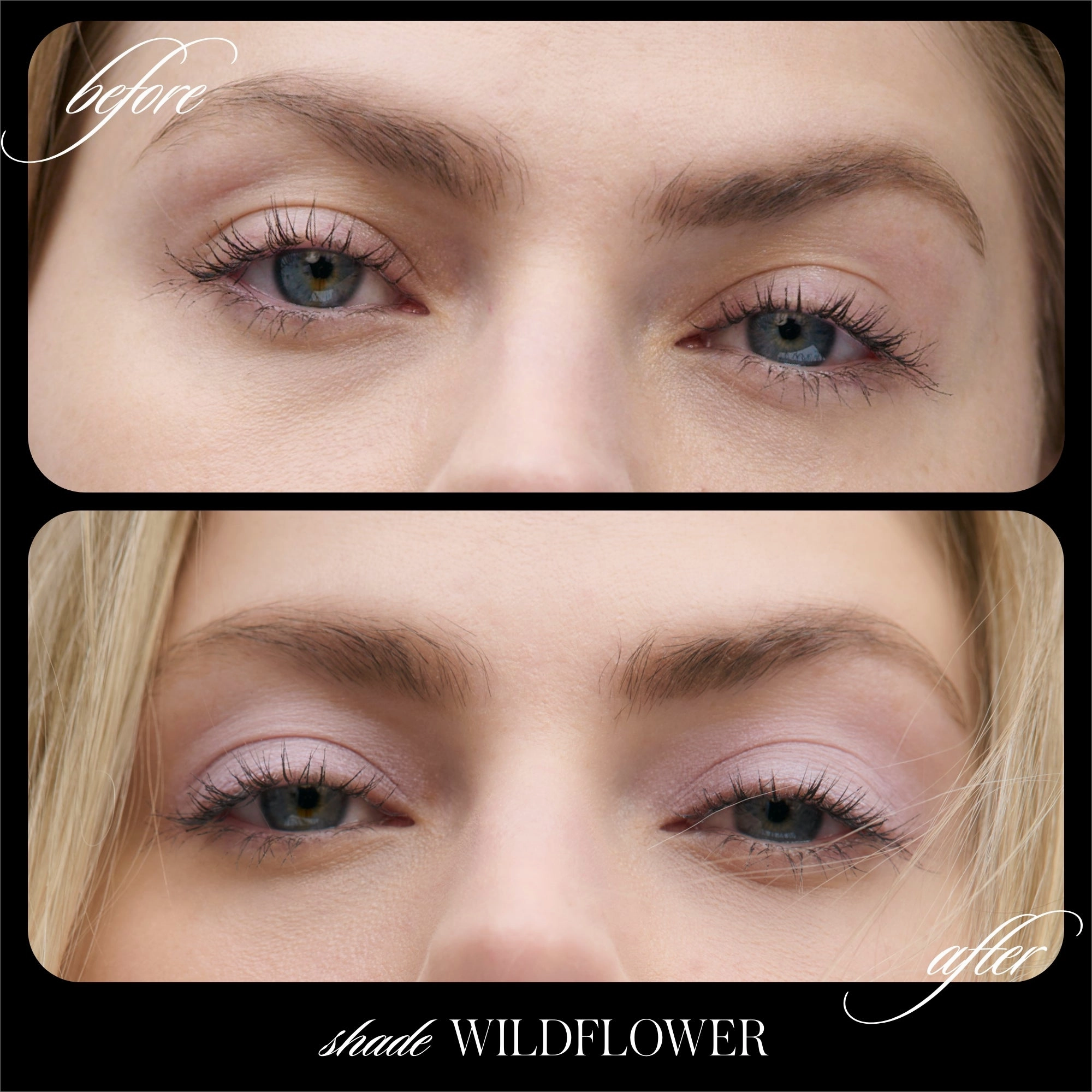 Cashmere Matte Eyelights