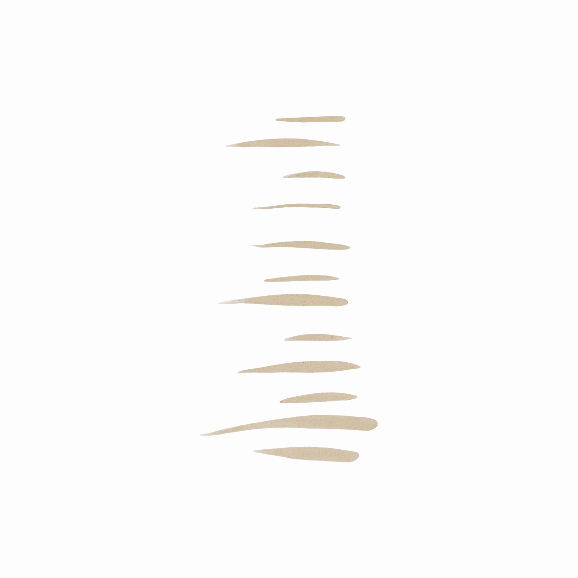 Holy Strokes Micro-Fine Brow Pen
